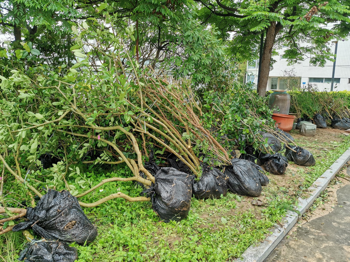 1655972931272833.jpg a1.jpg